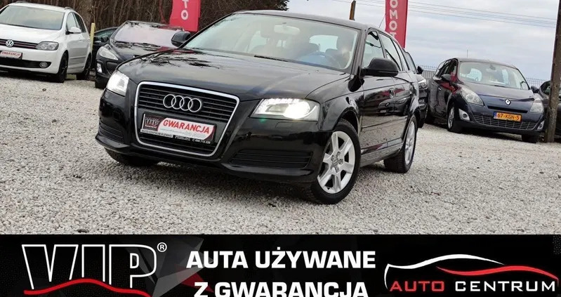 audi Audi A3 cena 24900 przebieg: 206954, rok produkcji 2010 z Lubin